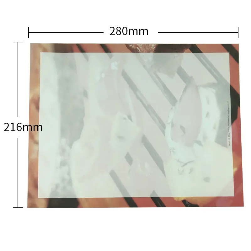 Custom printed paper placemat with kids activity layout